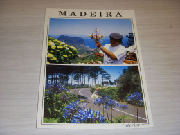 CP CARTE POSTALE PORTUGAL MADEIRA MADERE FLEURS VUES - ECRITE Et TIMBREE - Madeira