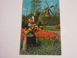 CP CARTE POSTALE PAYS-BAS MOULIN TULIPES Et PARURES De FLEURS - Ecrite En 1977 - Andere & Zonder Classificatie