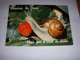 CP CARTE POSTALE MESSAGE RAMENE Ta FRAISE - ESCARGOT - ECRITE En 1977 - Autres & Non Classés