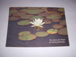 CP CARTE POSTALE MESSAGE NENUPHARD Au Coeur De L'hiver... ECRITE - Blumen