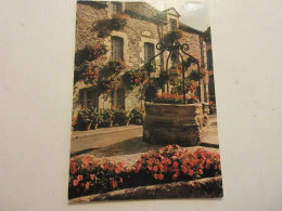 CP CARTE POSTALE MORBIHAN ROCHEFORT En TERRE Le PUITS FLEURI - Ecrite En 1979    - Rochefort En Terre