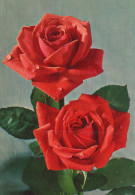 FLEURS Vintage Carte Postale CPSM #PAS160.FR - Flowers