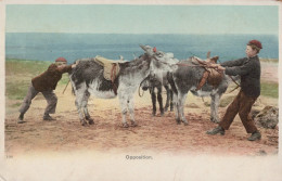 BURRO Animales Vintage Antiguo CPA Tarjeta Postal #PAA326.ES - Donkeys