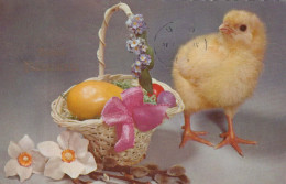 PASCUA POLLO HUEVO Vintage Tarjeta Postal CPA #PKE432.ES - Ostern