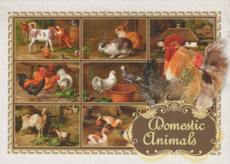 SALVAJE Animales Vintage Tarjeta Postal CPSM #PBS938.ES - Andere & Zonder Classificatie