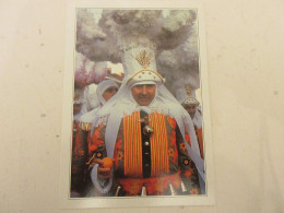 CP CARTE 03-B01 BELGIQUE BINCHE PERSONNAGE Du CARNAVAL  - Binche