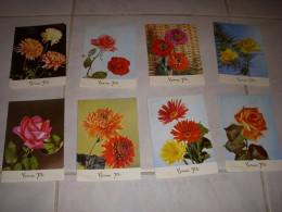 Lot De 8 CP CARTE POSTALE BONNE FETE FLEURS DIVERSES - Vierge - Autres & Non Classés