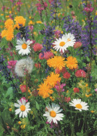 FLOWERS Vintage Postcard CPSM #PAS458.GB - Flowers