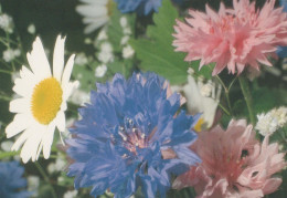 FLOWERS Vintage Postcard CPSM #PAR677.GB - Blumen