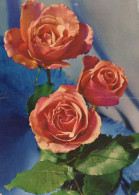 FLOWERS Vintage Postcard CPSM #PAR977.GB - Blumen