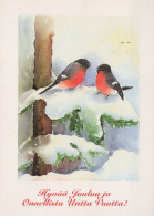 BIRD Animals Vintage Postcard CPSM #PAM931.GB - Oiseaux