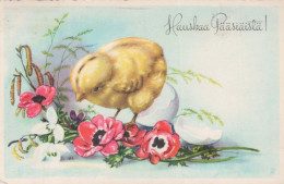 PÂQUES POULET ŒUF Vintage Carte Postale CPA #PKE433.FR - Ostern