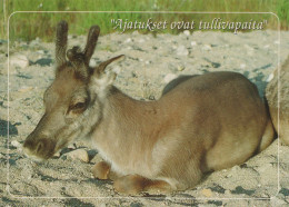 CERF Animaux Vintage Carte Postale CPSM #PBS536.FR - Altri & Non Classificati