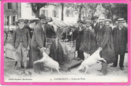 16 - BARBEZIEUX - Scène De Foire - Cochons - Belle Animation - Autres & Non Classés