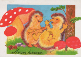 HÉRISSON Animaux Vintage Carte Postale CPSM #PBR232.FR - Altri & Non Classificati