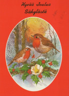 UCCELLO Animale Vintage Cartolina CPSM #PAM936.IT - Vögel