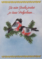 UCCELLO Animale Vintage Cartolina CPSM Unposted #PAM999.IT - Vogels