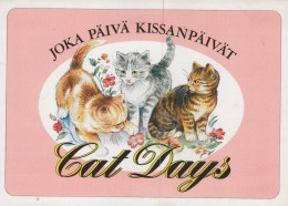 GATTO KITTY Animale Vintage Cartolina CPSM Unposted #PAM434.IT - Chats