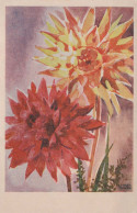 FLOWERS Vintage Postcard CPSMPF #PKG043.GB - Fleurs