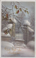 Happy New Year Christmas Vintage Postcard CPSMPF #PKD666.GB - Nouvel An