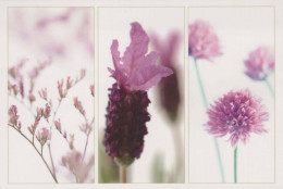 FLOWERS Vintage Postcard CPSM #PBZ205.GB - Bloemen