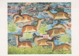 DEER Animals Vintage Postcard CPSM #PBS534.GB - Altri & Non Classificati