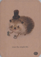 HEDGEHOG Animals Vintage Postcard CPSM #PBR229.GB - Autres & Non Classés