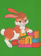 RABBIT Animals Vintage Postcard CPSM #PBR095.GB - Andere & Zonder Classificatie