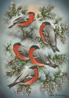 Happy New Year Christmas BIRD Vintage Postcard CPSM #PBM667.GB - Anno Nuovo