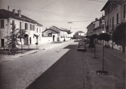 Tornaco Fotografia Viale Inedita 1959 - Andere & Zonder Classificatie