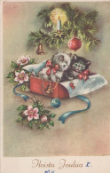 GATTO Vintage Cartolina CPSMPF #PKG917.IT - Cats