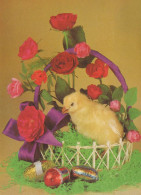 PASQUA POLLO UOVO Vintage Cartolina CPSM #PBP116.IT - Easter