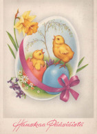 PASQUA POLLO UOVO Vintage Cartolina CPSM #PBO676.IT - Pâques