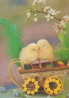 PASQUA POLLO UOVO Vintage Cartolina CPSM #PBO737.IT - Easter