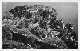 CPSM Monaco-Le Rocher Et Les Jardins Exotiques-1490-Beau Timbre     L2916 - Giardino Esotico