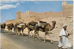 Maroc Pittoresque Caravane Dans Le Sud - Marrakesh