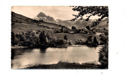 Carte Bernex Lac Cacet Saint Paul En Chablais - Autres & Non Classés