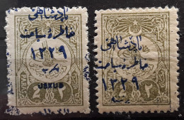 TURKIYE TURQUIE TURKEY 1909 ? 2 Timbres 2 Para Olive Avec Surcharge Bleue ? , Neufs * MH TB - Unused Stamps