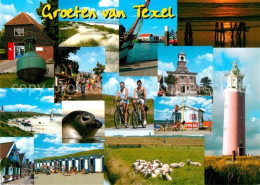 72715791 Texel Strandhuetten Leuchtturm Seehund Schafherde  - Other & Unclassified