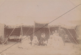 Photo Format Carte Postale Algérie Afrique Tente Du Caïd à 60km De Cheria - Africa