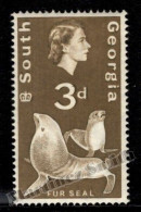 Falkland South Georgia 1963-69 Yvert 13, Queen Elizabeth II, Fauna, Fur Seal - Single Value - MNH - Otros & Sin Clasificación