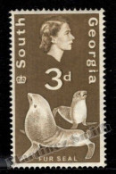 Falkland South Georgia 1963-69 Yvert 13, Queen Elizabeth II, Fauna, Fur Seal - Single Value - MNH - Autres & Non Classés