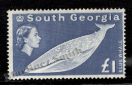 Falkland South Georgia 1963-69 Yvert 23, Queen Elizabeth II, Fauna, Blue Whale 1 Pound - Single Value - MNH - Sonstige & Ohne Zuordnung