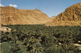 Maroc Pittoresque Tinerhir Gorges Du Todra - Autres & Non Classés