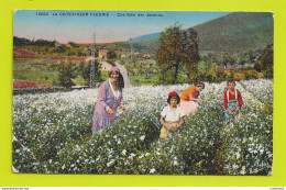 06 La Côte D'Azur Fleurie N°10623 Femmes Et Enfants Cueillette Des Jasmins Carte Postée Du Cannet En 1937 Pour 59 Auby - Fleurs