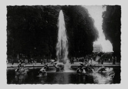 VERSAILLES - Parc Du Château - Bassin Du Dragon  (FR 20.017) - Versailles (Kasteel)