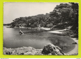 83 Presqu'île De GIENS Vers Hyères N°3910 Plage De L'ESTANCI Barques VOIR DOS En 1957 - Hyeres