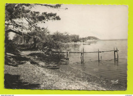 83 PRESQU'ILE DE GIENS Vers Hyères N°2139 Quartier Des Barques Bar Bimbeloterie Parfumerie VOIR DOS En 1955 - Hyeres