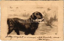 T2/T3 1900 Hunting Dog Art Postcard (fl) - Unclassified
