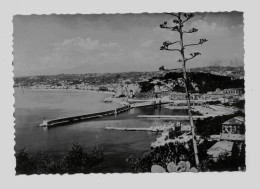 NICE   (FR 20.022) - Panoramic Views